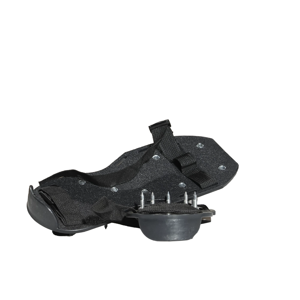 Q coat Spike Shoe